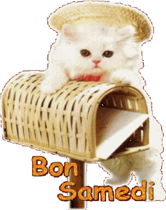 Gif animé Bon samedi chat